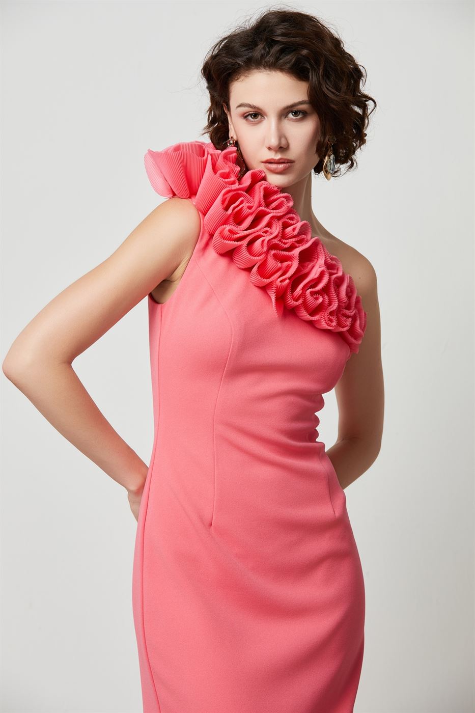 Ruffle Statement Detail Dress - Femi9 EG