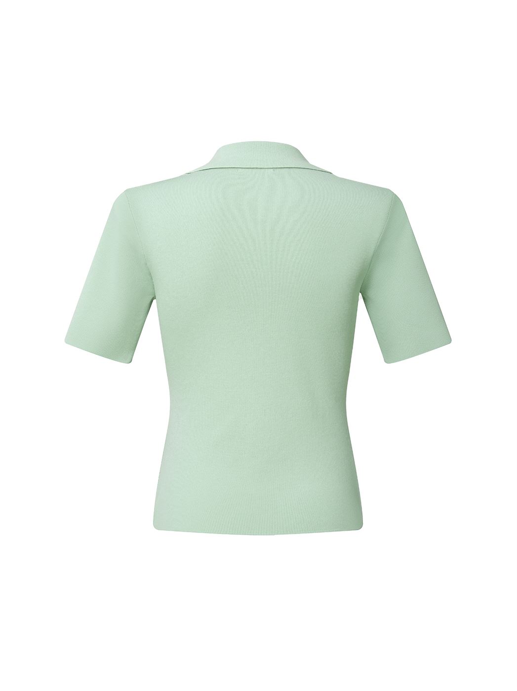 Knit Polo Pullover