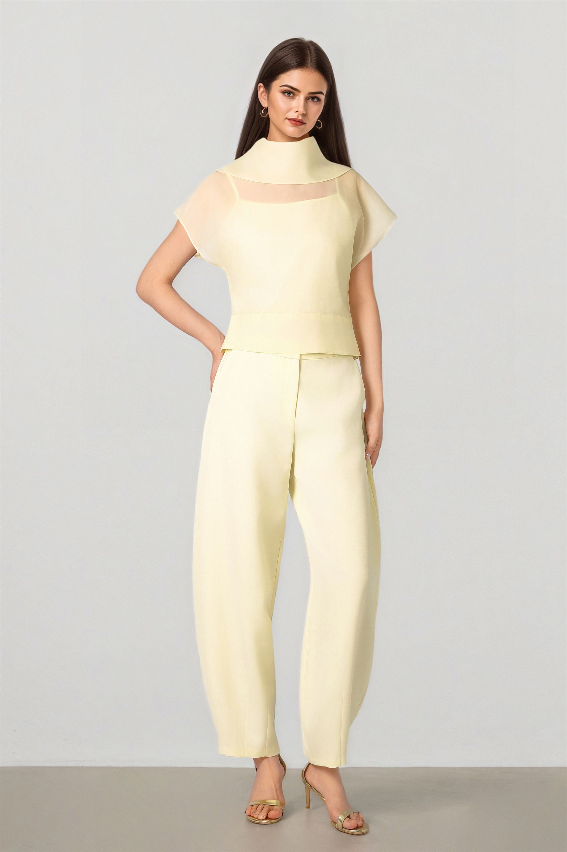High Collar Blouse