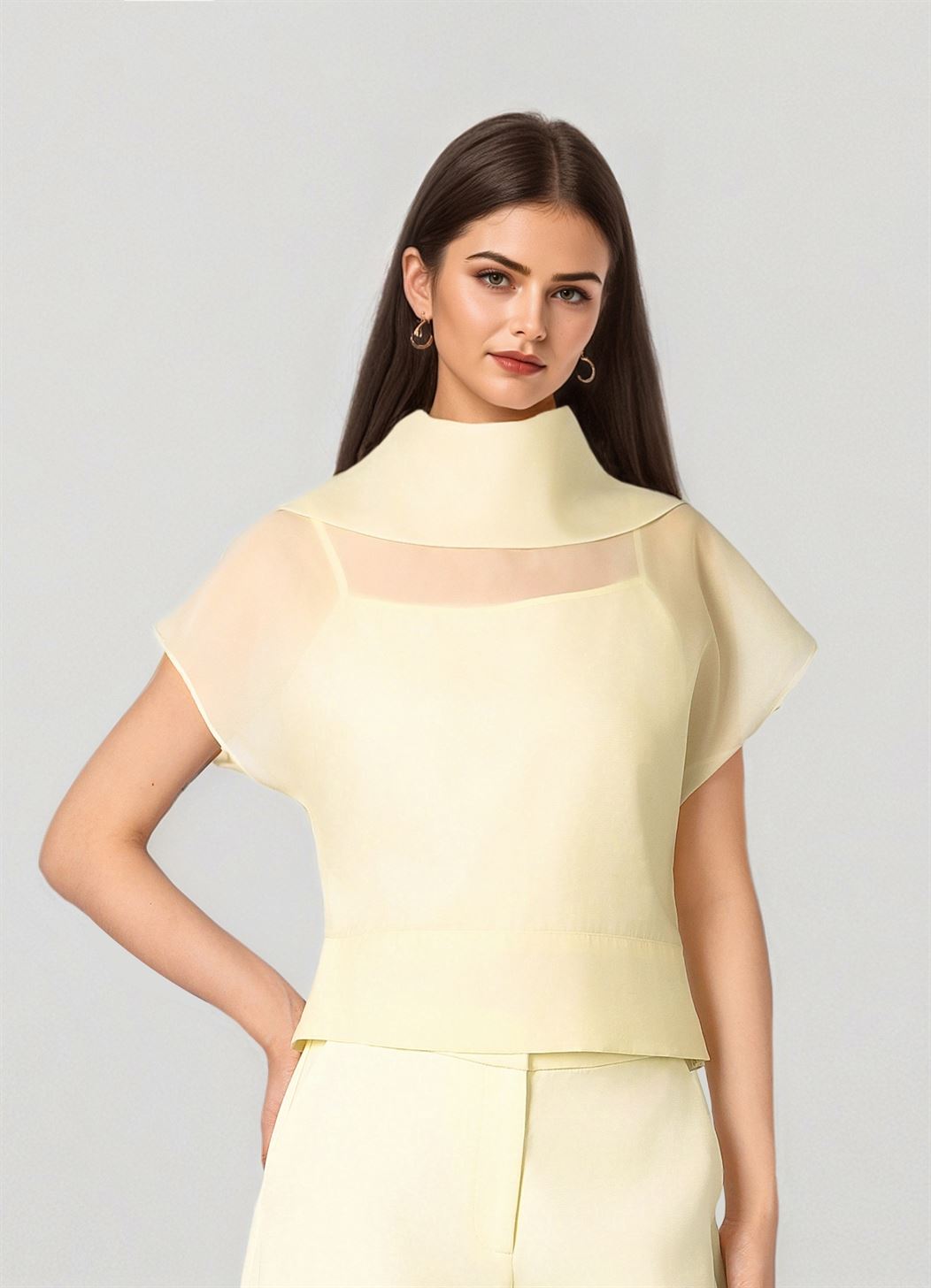 High Collar Blouse