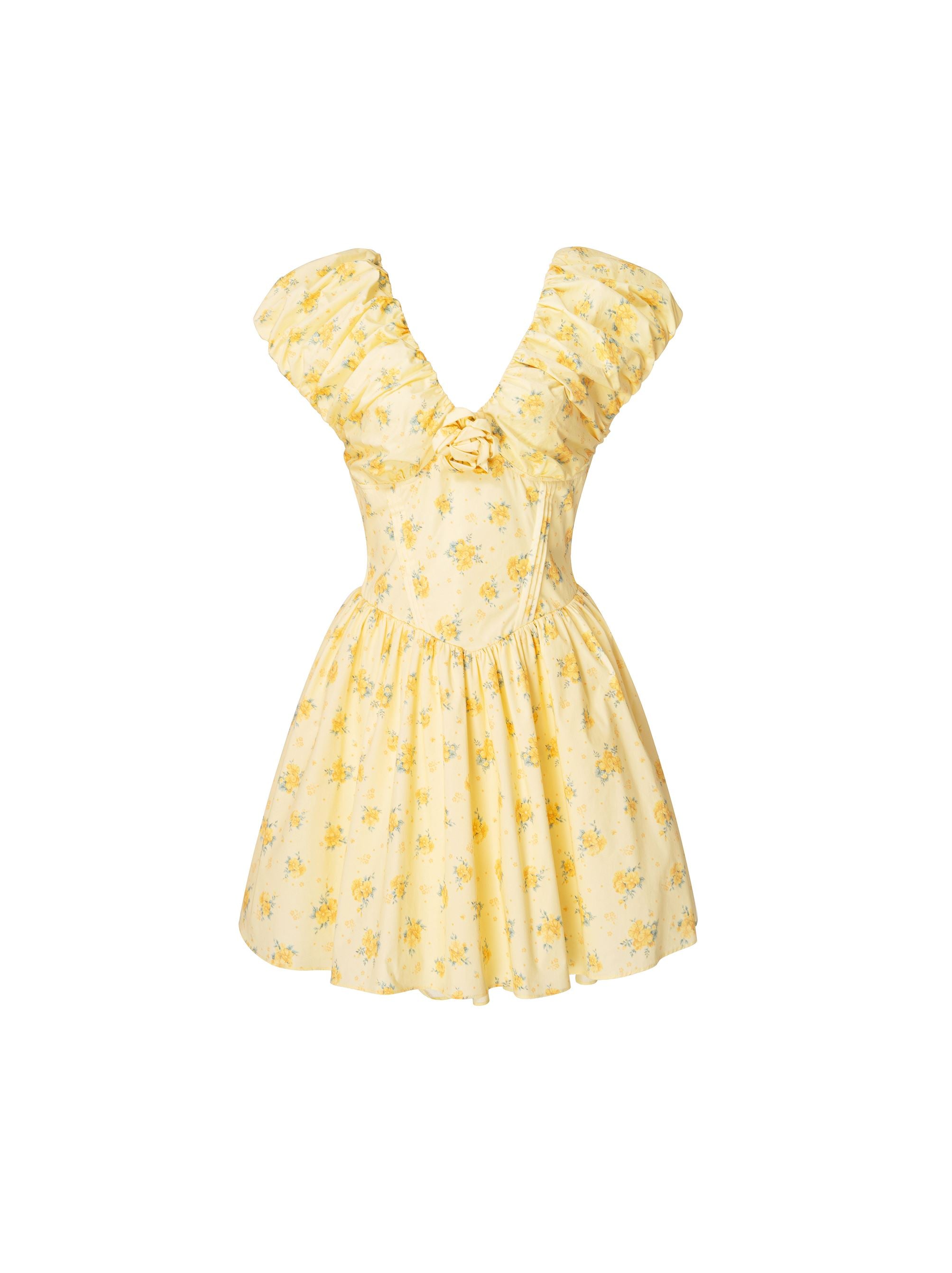 Printed Mini Dress