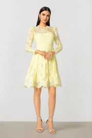 Lace Mini Dress