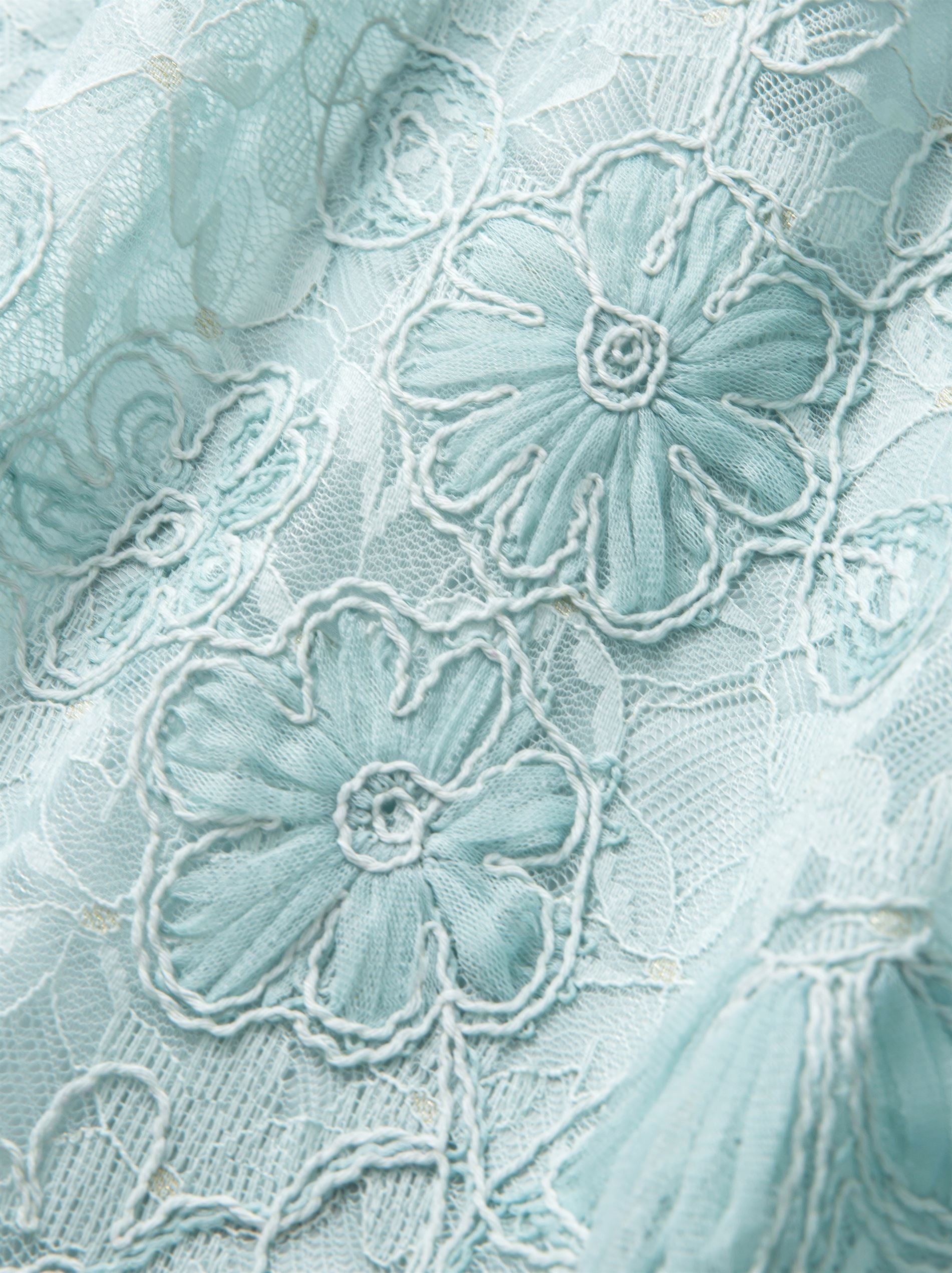 Embellished Lace Dress