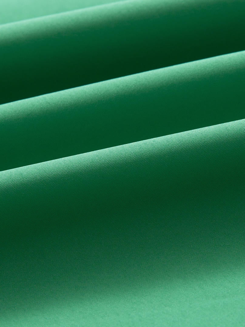 A green taffeta dress