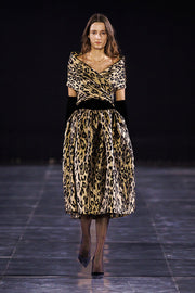 Velvet & Brocade Dress