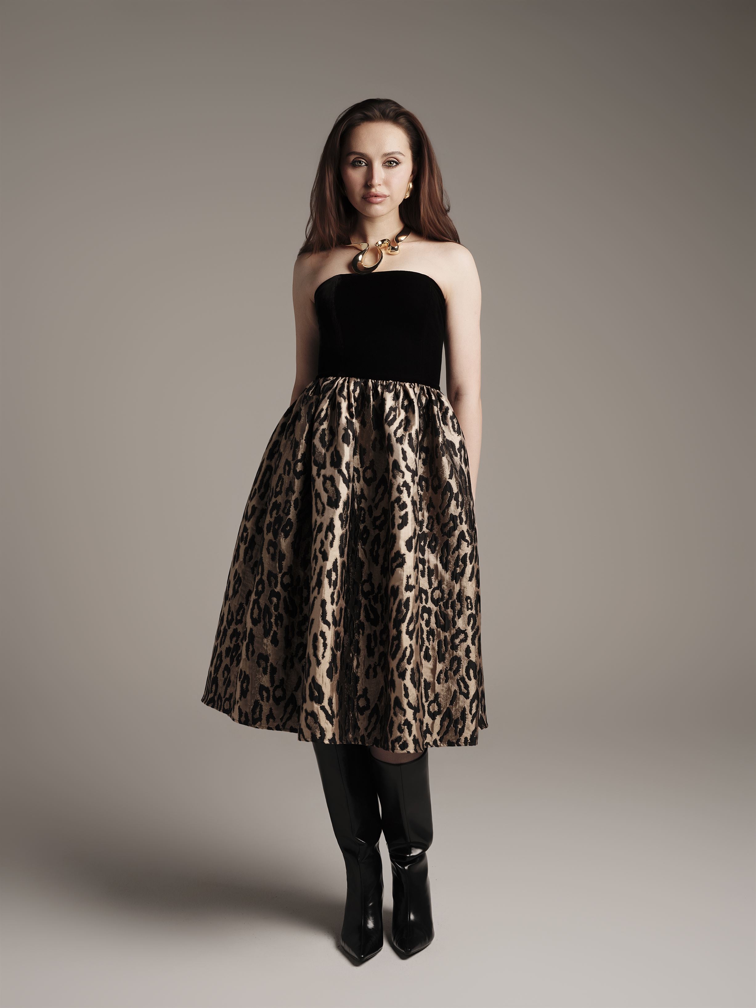 Velvet & Brocade Dress