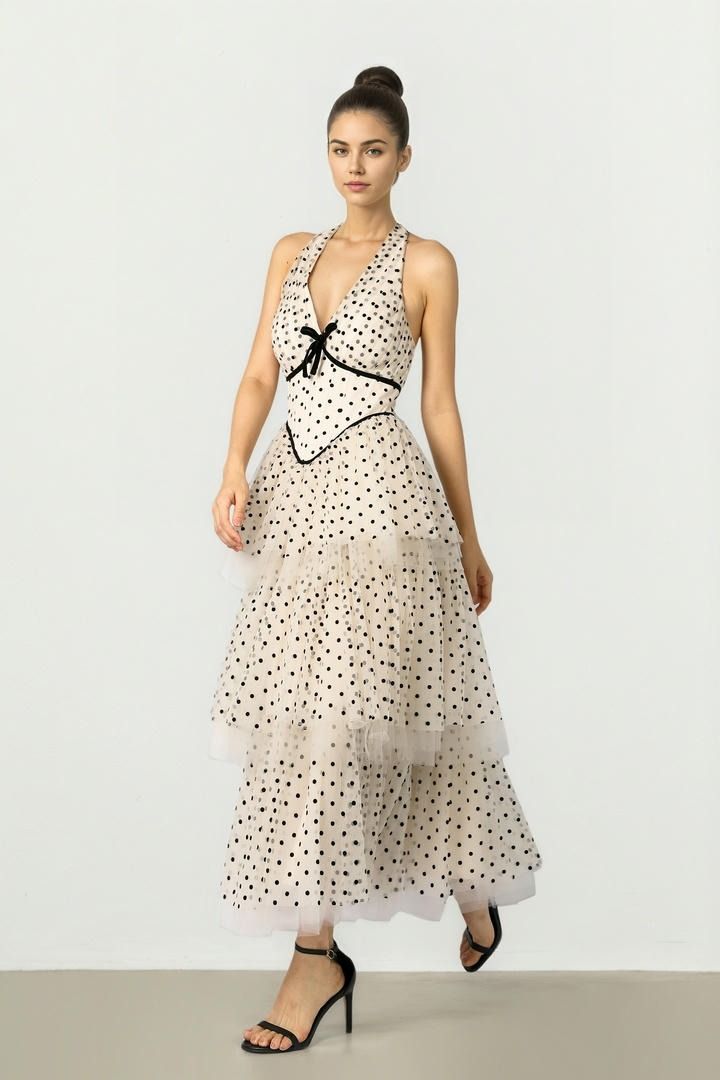 Beige & Black Mesh Dress